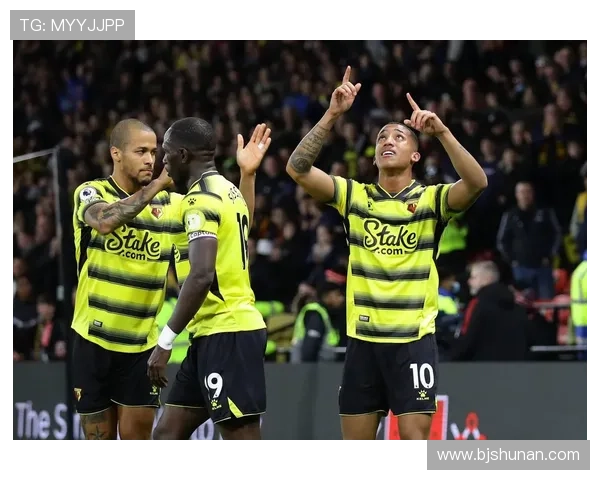 沃特福德足球俱乐部的历史沿革与发展战略探析 沃特福德足球俱乐部的历史沿革与发展战略探析