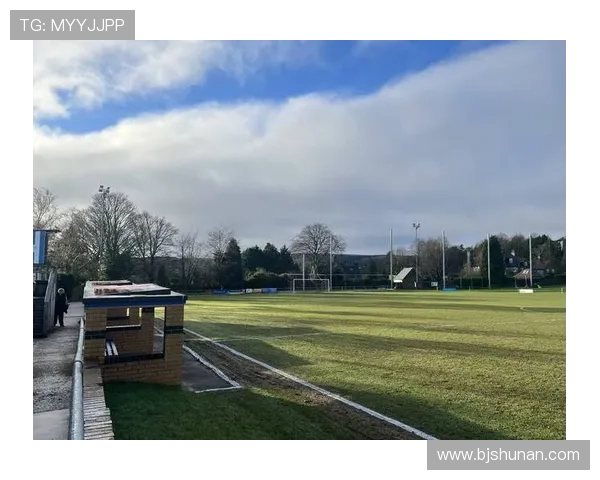 谢菲尔德星期三俱乐部百年辉煌历程与英格兰足球文化传承之路 谢菲尔德星期三俱乐部百年辉煌历程与英格兰足球文化传承之路