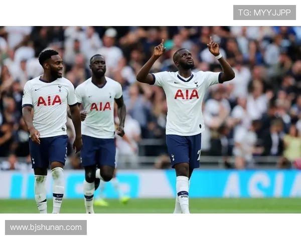 阿斯顿维拉俱乐部的辉煌历程与未来展望：英超中坚力量的崛起与挑战